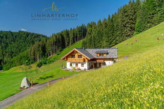 Almchalet Linharterhof aus Haus