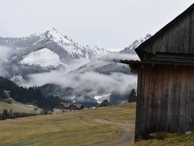 Bild 171 aus  Hoanz´nhof