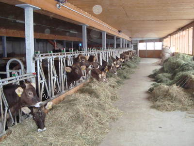 Bild 72 aus  Am Haldenhof Kanisblick