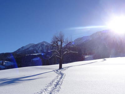 Bild 22 aus  Bauernhof Schneider