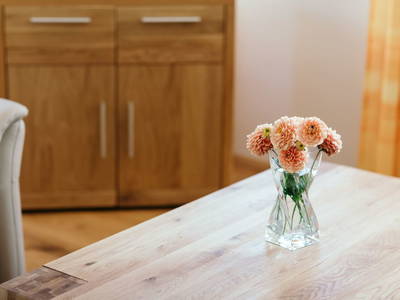 Bild 26 aus  Ferienwohnungen Mayrhofer