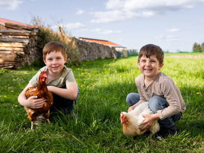 Bild 29 aus  ReiWaSchHOF