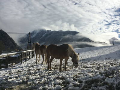 Bild 34 aus  Waldhäuslhütte