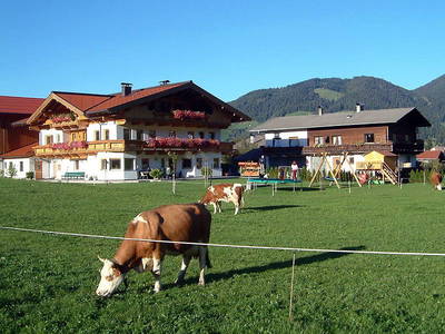 Bild 39 aus  Mesnerhof