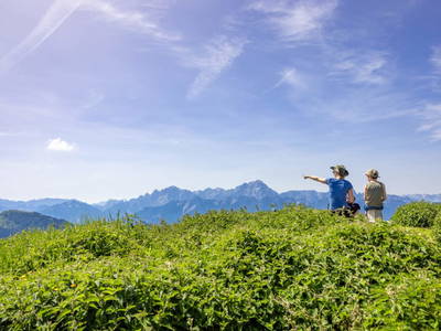 Bild 47 aus  Tom's Alpenhütte