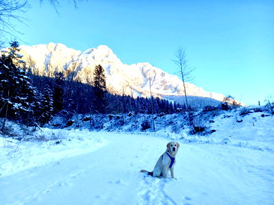 Bild 63 aus Christerbauerhof