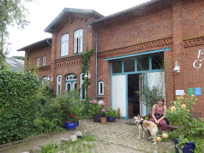 Bild 5 aus  Fjordgestüt Süderstapel GbR