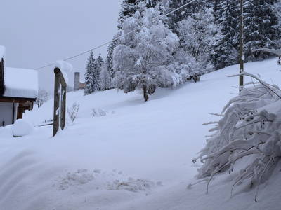 Bild 22 aus  Marschalkhof    Urlaub auf dem Bauernhof