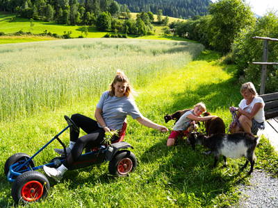Bild 150 aus  Bio Naturhof Ottingerhof