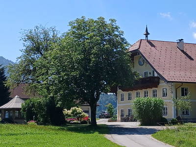 Bild 18 aus Bio-Bauernhof Vordergschwandtgut