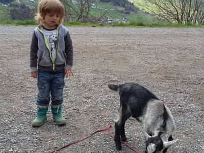 Bild 187 aus Bauernhof Schrott