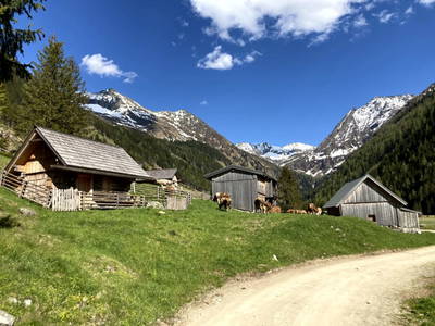 Bild 62 aus  Schmiedlehnerhof