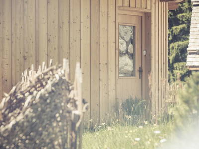 Bild 2 aus  Lichteben