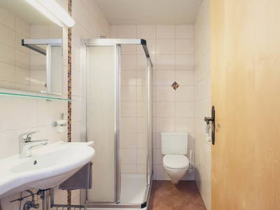 Bild 106 aus  Ladestatthof
