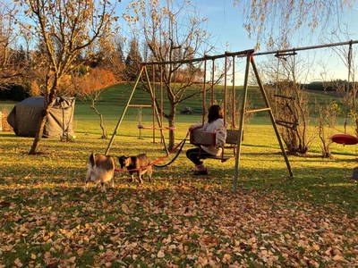 Bild 4 aus  Huber Hof