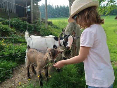 Bild 112 aus  Pieber-Staberhof