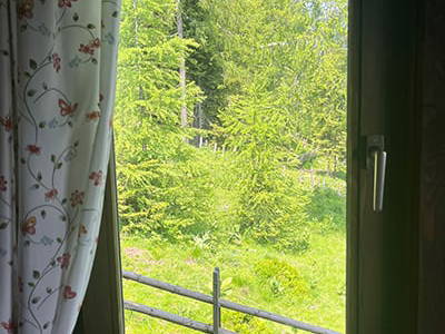 Bild 250 aus Neuwirth Hütte