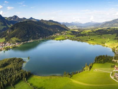 Bild 57 aus  Lochner Alm