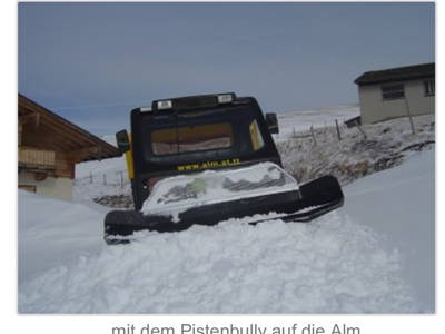 Bild 13 aus  Lochner Alm