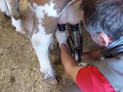 Bild 124 aus  Öko-Appartements Fallhaus