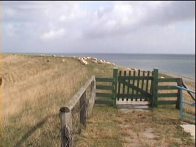 Bild 10 aus  Friesenhof Schulze-Warft