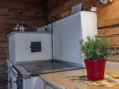 Bild 54 aus Jörglbauerhütte