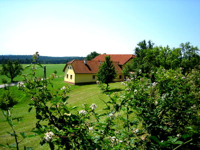 Bild 41 aus Blumentalhof