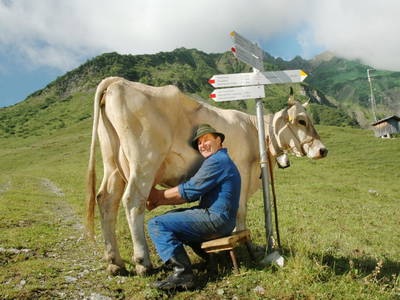 Bild 23 aus  Kinderbauernhof Felder