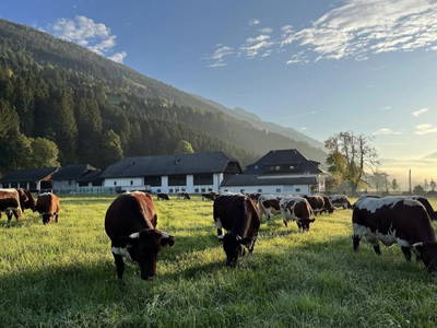 Bild 5 aus Rasdorferhof