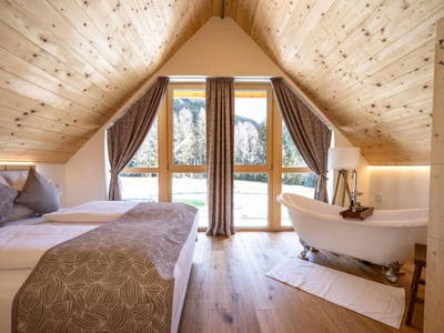 Bild 77 aus  Ebner 1822