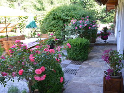 Bild 30 aus  Weingut Seiner vlg.Kraxner