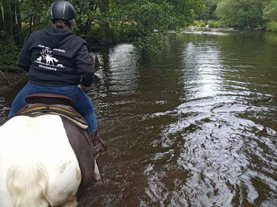 Bild 53 aus  Bio- und Reiterhof Gollner