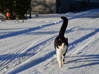 Bild 75 aus  Obergrafenberger