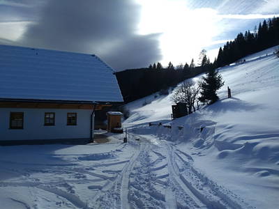 Bild 101 aus  Almhütte Wiedhupf