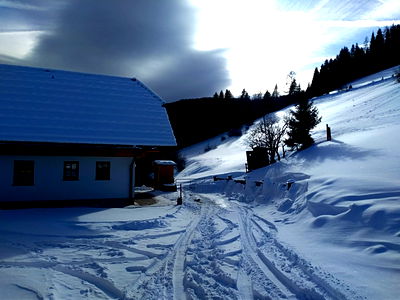 Bild 101 aus Almhütte Wiedhupf