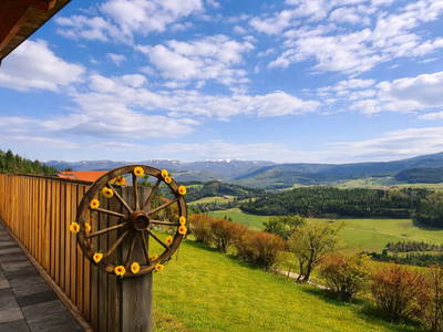 Bild 5 aus  Himmelbauer