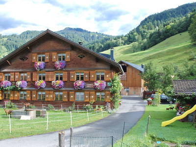 Bild 2 aus  Kinderbauernhof Felder