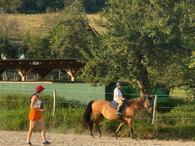 Bild 24 aus  Matlhof