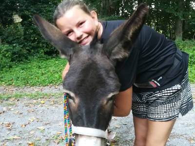 Bild 8 aus  Freizeit- und Ferienreiterhof Odenwald