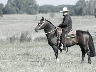 Bild 25 aus  FerienGut Dalwitz     www.feriengutdalwitz.de