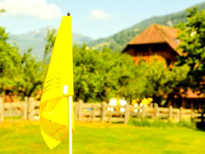 Bild 81 aus Pension Zechnerhof