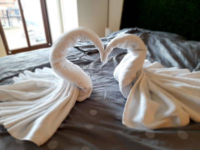 Bild 9 aus  Miniponyhof Biohof Almbauer