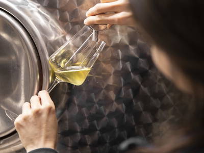 Bild 64 aus  Weingut STRAWANZER Donabaum