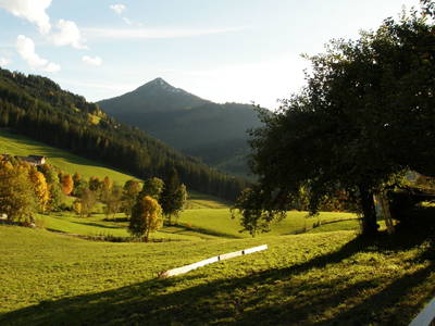 Bild 19 aus  Zauchtalerhof