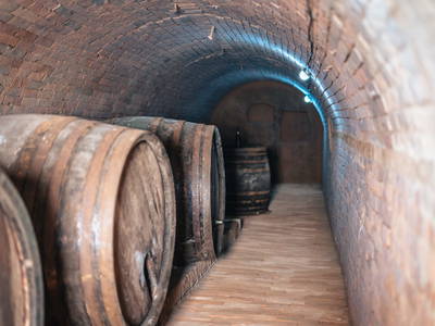 Bild 106 aus  Winzerhof Küssler, Weinviertel