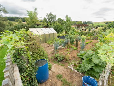 Bild 63 aus  Reiterhof Pfleger