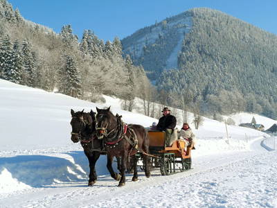 Bild 21 aus  Am Ferienbauernhof Schmiedbauer.com im Salzkammergut