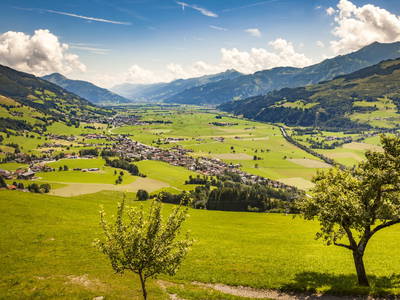 Bild 71 aus  Naglbauer