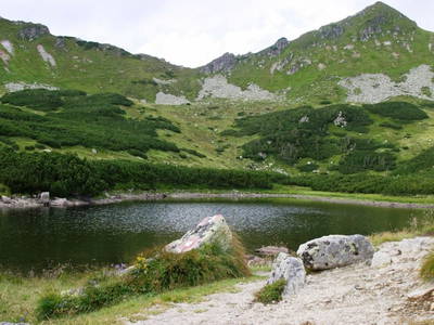 Bild 36 aus  Grassleralm