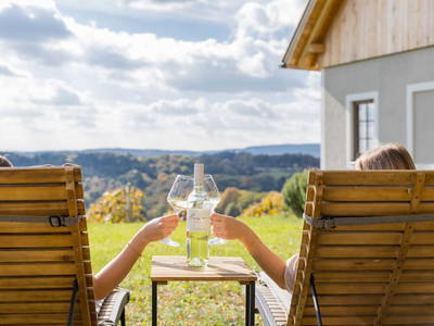 Bild 45 aus  WEIN DOMIZIL ZIEGER